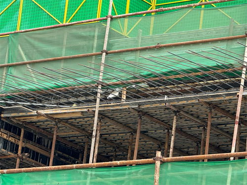 鋼木龍骨 現(xiàn)代建筑工程中的環(huán)保建材革新
